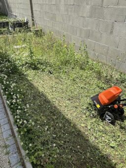 image client 6 Motobineuse Électrique Mytol 1500W