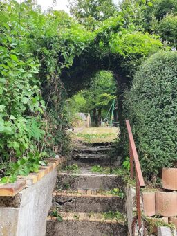 image client 6 Cisaille À Gazon sans fil Ryobi RY18GSA 0