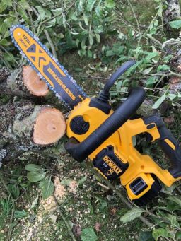 image client 6 Tronçonneuse Élagueuse sans fil Dewalt DCM565P1 QW