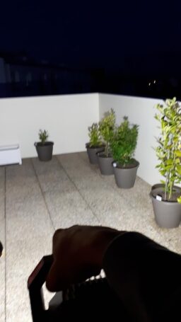 image client 7 Projecteur Led Chantier Bosch Professional Gli 18V 1900