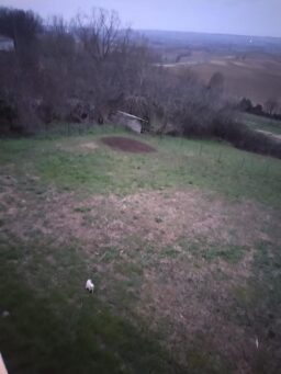 image client 7 Motobineuse Électrique Einhell GC RT 7530