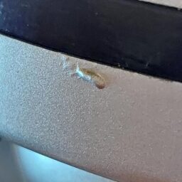 image client 7 Compresseur Aérographe Fengda FD 186 Fiable Efficace