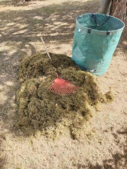 image client 7 Scarificateur Aérateur Ikra IEVL 1840 Électrique