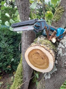 image client 7 Tronçonneuse Électrique sans fil Viwko Mini À Batterie 6 Pouces