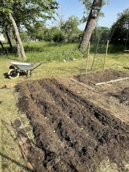 image client 7 Motobineuse sans fil Einhell GE CR 30 Li Solo Power X Change