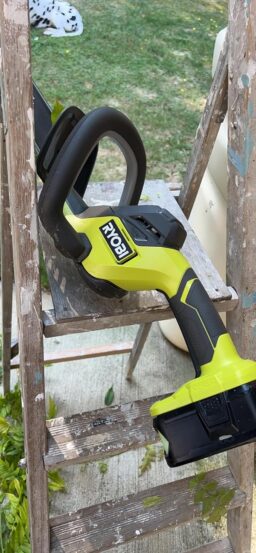 image client 7 Taille Haies sans fil Ryobi Ry18ht55a 120