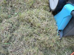 image client 7 Scarificateur Électrique Gardena EVC 1000