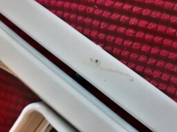 image client 7 Marchepied Pliable SONGMICS GSL003GY01