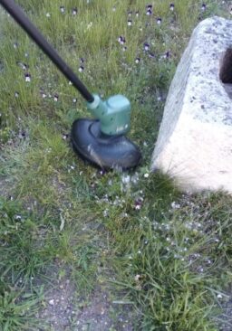 image client 8 Débroussailleuse Électrique Bosch EasyGrassCut 23