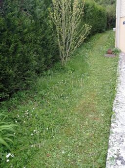 image client 8 Tondeuse Manuelle Einhell Gc Hm 300