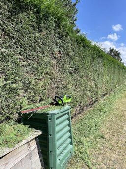 image client 8 Taille Haie Batterie Greenworks G40HT61