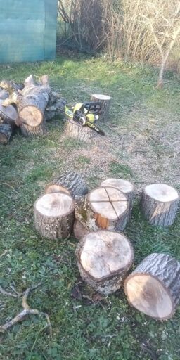 image client 8 Tronçonneuse sans fil Ryobi RY18CS20A 125