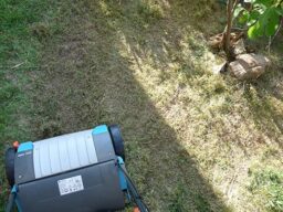 image client 8 Scarificateur Électrique Gardena EVC 1000