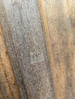 image client 8 Cloueur Agrafeuse Seesii J 133 sans fil Automatique