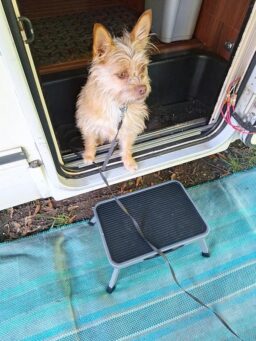 image client 8 Marchepied Pliable SONGMICS GSL01WT