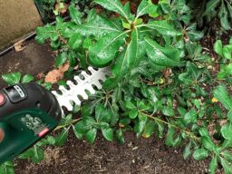 image client 9 Cisaille À Gazon Bosch AdvancedShear 18V 10