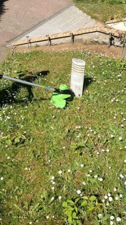 image client 9 Débroussailleuse sans fil Greenworks 2×24V Coupe Bordure