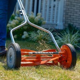 Image du fabricant 10 du American Lawn Mower tondeuse 4 lames