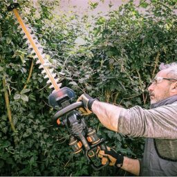 Image du fabricant 10 du WORX Taille-Haies sans Fil 40V