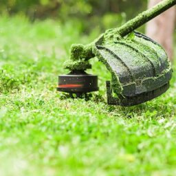 Image du fabricant 2 du Coupe-Bordure essence 2en1 jardin