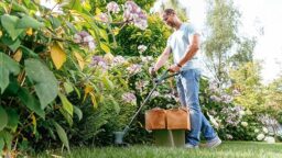 Image du fabricant 2 du Coupe-bordures filaire BOSCH EasyGrassCut 26