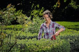 Image du fabricant 2 du Einhell Cisaille à gazon sans fil