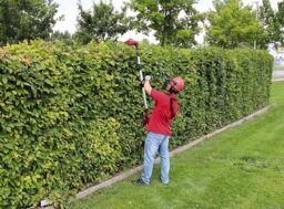 Image du fabricant 2 du Einhell Taille-haie télescopique sans fil