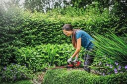 Image du fabricant 2 du Einhell Taille-haies sans fil GC-CH