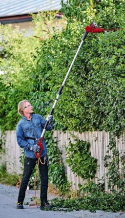 Image du fabricant 2 du Taille-haies télescopique Einhell GC-HH