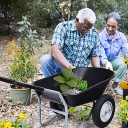 Image du fabricant 2 du GOPLUS Brouette Jardin à 2 Roues