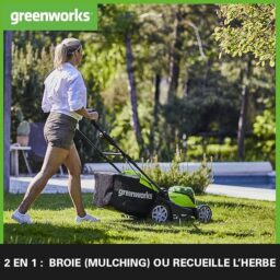 Image du fabricant 2 du Greenworks G40LM41 tondeuse sans fil