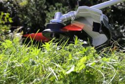 Image du fabricant 2 du IKRA débroussailleuse thermique IBF 31-4