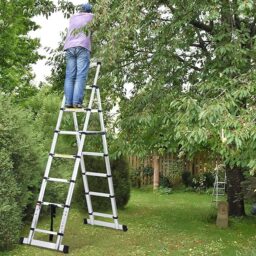 Image du fabricant 2 du Lospitch Échelle télescopique aluminium