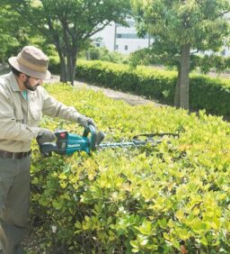 Image du fabricant 2 du Makita DUH751Z taille-haie sans fil