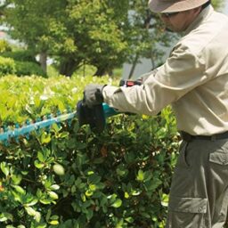 Image du fabricant 2 du Makita Taille-haie 18V Li-ion