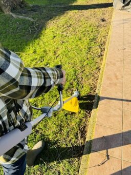 Image du fabricant 2 du Nemura Débroussailleuse Batterie 40V