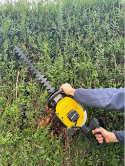 Image du fabricant 2 du Nemura Taille Haie Thermique 25 cm3