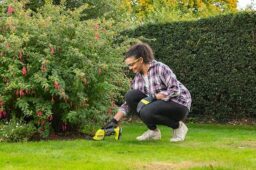 Image du fabricant 2 du RYOBI Cisaille à gazon 18V