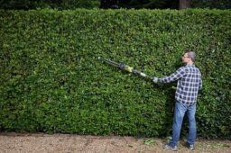 Image du fabricant 2 du RYOBI Taille-Haie Électrique Perche