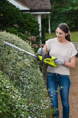 Image du fabricant 2 du RYOBI Taille-Haies sans Fil