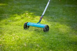 Image du fabricant 2 du Scarificateur roue Gardena mini