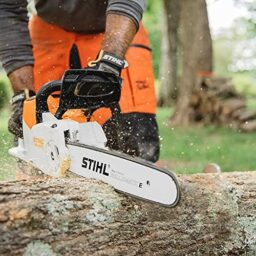 Image du fabricant 2 du Stihl MSA 220 C tronçonneuse électrique