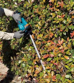 Image du fabricant 2 du Taille-Haie LXT 18V 60CM MAKITA