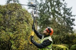 Image du fabricant 2 du Taille-haies DEWALT XR 18V