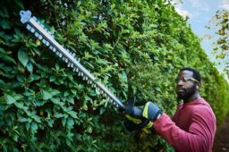 Image du fabricant 2 du Taille-Haies Ryobi 36v RY36HT60A-0