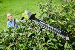 Image du fabricant 2 du Taille-haies sur perche 36V