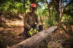 Image du fabricant 2 du Tronçonneuse élagueuse Ryobi 36V