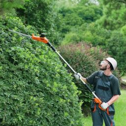 Image du fabricant 2 du VEVOR Taille-Haie Batterie Orange