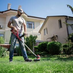 Image du fabricant 2 du WONET Coupe Bordures sans Fil