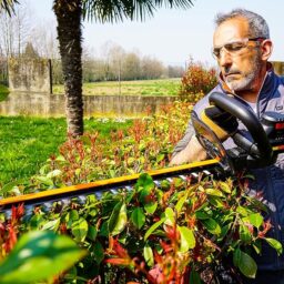 Image du fabricant 2 du Worx Taille-haie sans Fil WG263E